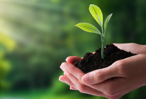 Dokument z decyzją o środowiskowych uwarunkowaniach – kluczowy etap procesu inwestycyjnego