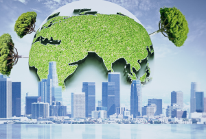 Umorzenie uprawnień EUA w Rejestrze Unii – obowiązek rozliczeniowy uczestników systemu EU ETS