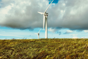 Schemat działania CBAM – obowiązki importerów i dostosowanie kosztów emisji do poziomu unijnego