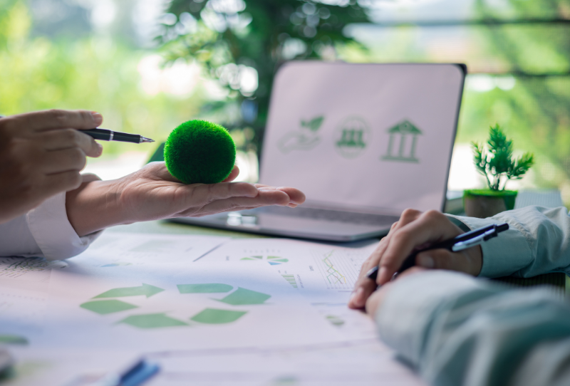 Schemat struktury administracyjnej ochrony środowiska w Polsce – GDOŚ jako organ centralny nadzorujący RDOŚ, zarządzający siecią Natura 2000 i rozpatrujący odwołania w postępowaniach środowiskowych