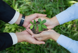 CSR (Corporate Social Responsibility) to koncepcja, zgodnie z którą przedsiębiorstwo odpowiada nie tylko za wyniki ekonomiczne, ale również za wpływ swojej działalności na środowisko, społeczeństwo i interesariuszy. Jest to strategiczny model zarządzania, który integruje aspekty etyczne, społeczne i środowiskowe z operacjami biznesowymi i procesem podejmowania decyzji.