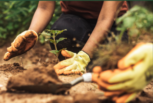 Prawo ochrony środowiska – kluczowe obowiązki dla firm, zgodność z ustawą POŚ, relacje z organami ochrony środowiska
