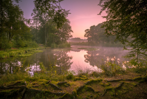 Obszar Natura 2000 w Polsce z podziałem na OSO i SOO
