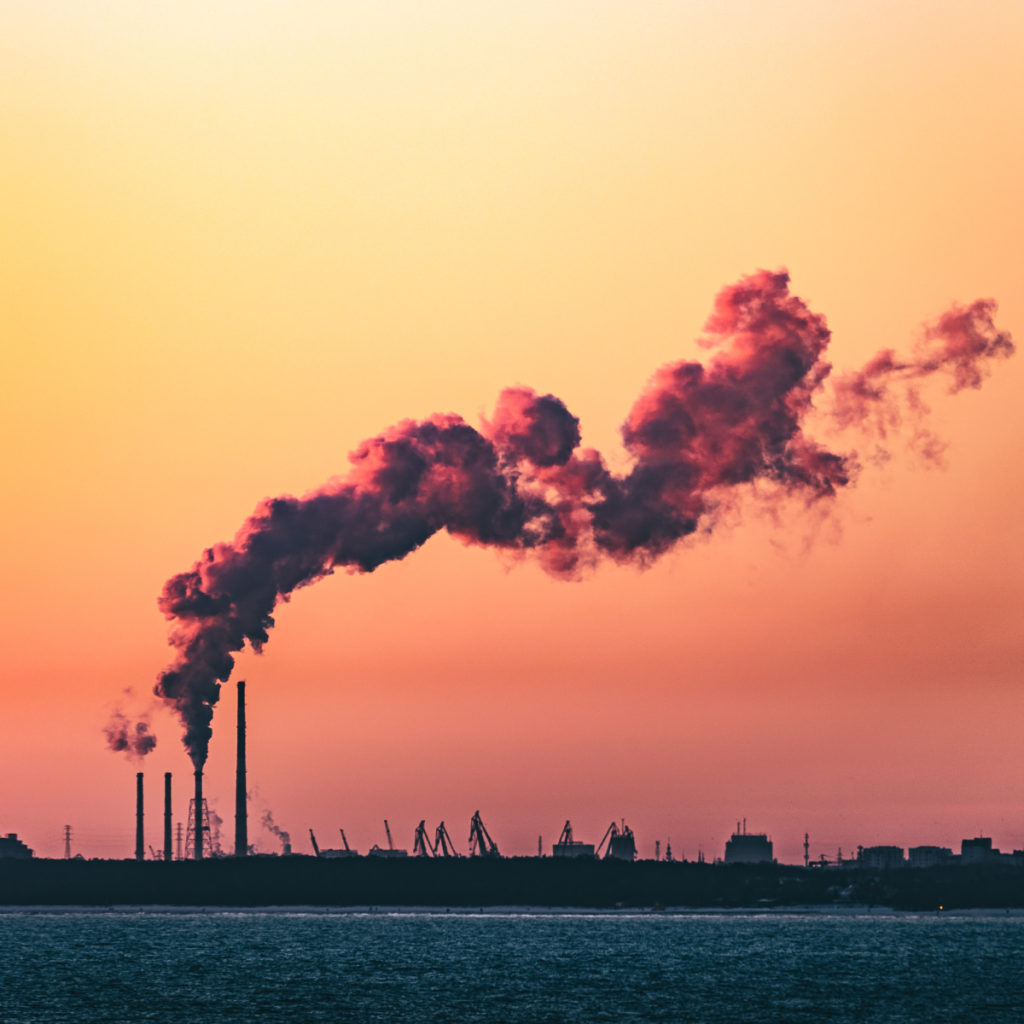 Kredyt węglowy przedstawiony jako proces: pochłanianie CO2, certyfikacja i zastosowanie przez firmy w drodze do neutralności klimatycznej.