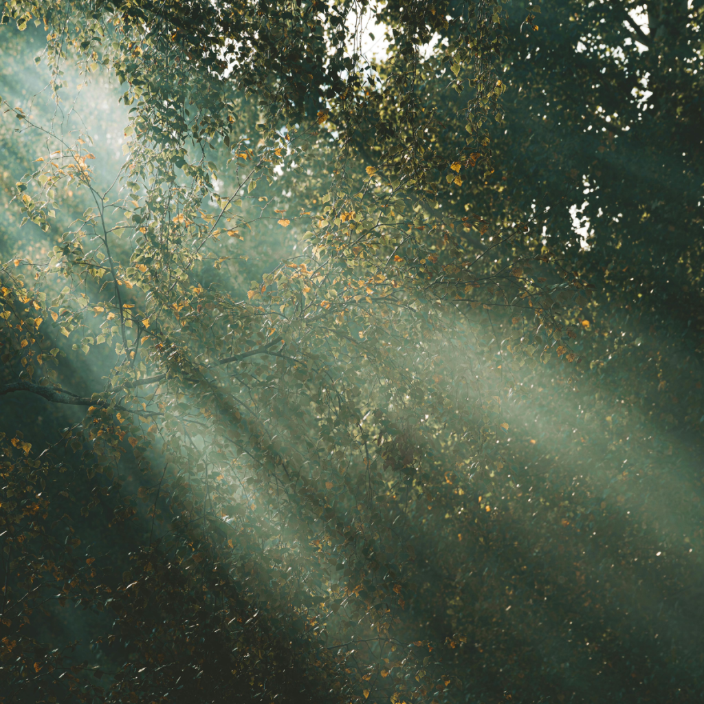 Greenwashing i UOKiK: jak odpowiedzialnie mówić o transformacji klimatycznej firmy?