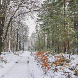 Usprawnienie działań Inspekcji Ochrony Środowiska – projekt ustawy